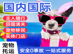 合肥航空托运国际宠物托运 【国